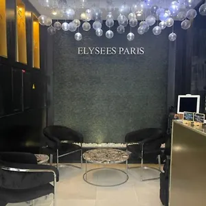 Elysees מלון פריז